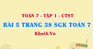 Bài 5 trang 38 SGK Toán 7 chân trời sáng tạo tập 1